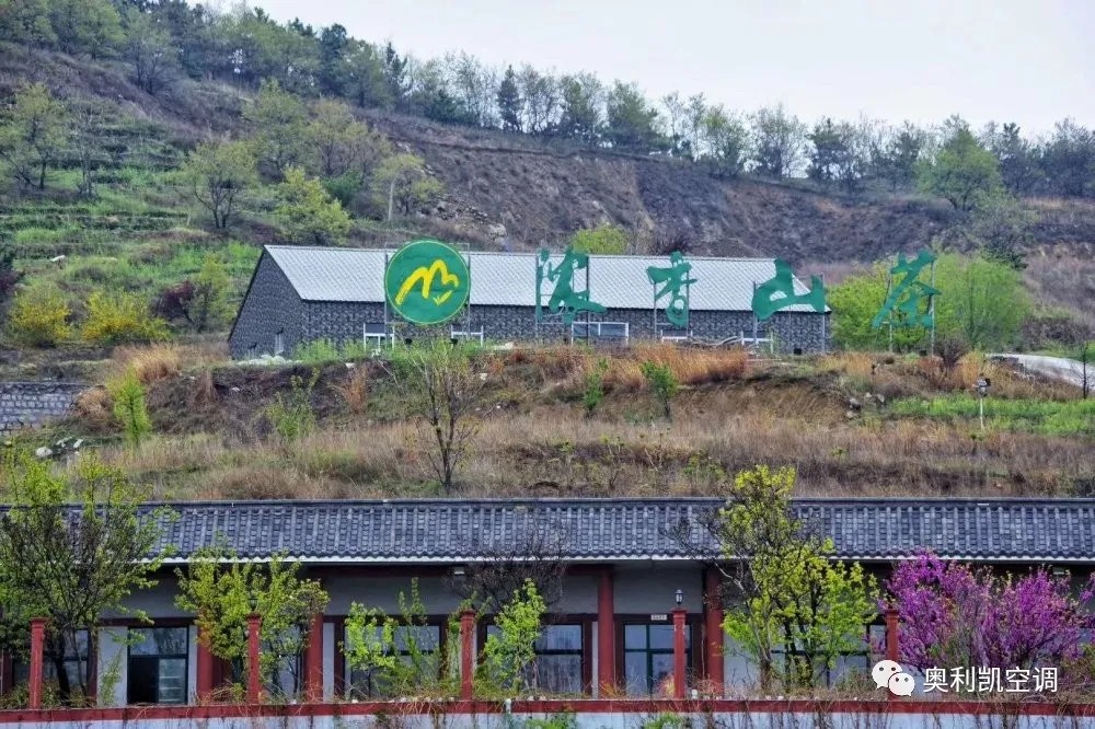 放松心情，快樂出發—奧利凱銷售部濃香山一日游活動
